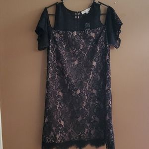 Black and beige NWT Loft off shoulder dress